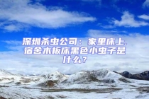 深圳杀虫公司：家里床上.宿舍木板床黑色小虫子是什么？