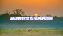 深圳白蚁防治预防的措施