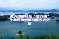 武大绿洲拜乐“毒力岛”生物灭蟑螂饵剂的五大绝招