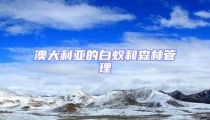 澳大利亚的白蚁和森林管理