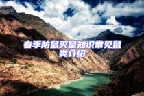 春季防鼠灭鼠知识常见鼠类介绍