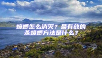 蟑螂怎么消灭?最有效的杀蟑螂方法是什么?