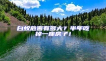 白蚁危害有多大?半年吃掉一座房子!