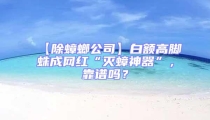 【除蟑螂公司】白额高脚蛛成网红“灭蟑神器”，靠谱吗？
