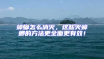 蟑螂怎么消灭,这些灭蟑螂的方法更全面更有效!
