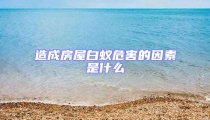 造成房屋白蚁危害的因素是什么
