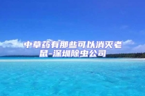 中草药有那些可以消灭老鼠-深圳除虫公司