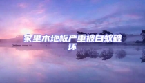 家里木地板严重被白蚁破坏
