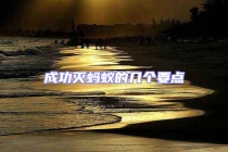 成功灭蚂蚁的几个要点