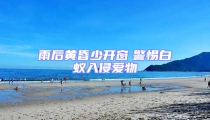 雨后黄昏少开窗 警惕白蚁入侵爱物