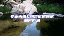 专业杀虫公司告诉你白蚁如何防治