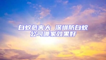 白蚁危害大 深圳防白蚁公司哪家效果好