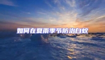 如何在夏雨季节防治白蚁