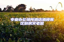 专业办公场所酒店酒楼餐饮厨房灭老鼠