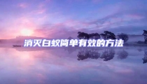 消灭白蚁简单有效的方法