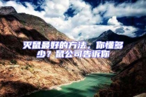 灭鼠最好的方法，你懂多少？鼠公司告诉你