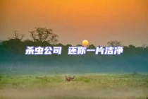 杀虫公司 还你一片洁净