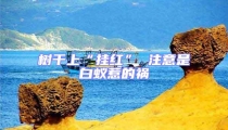 树干上“挂红” 注意是白蚁惹的祸