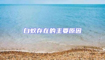 白蚁存在的主要原因