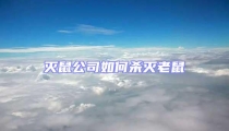 灭鼠公司如何杀灭老鼠