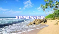 怎样快速消灭蟑螂
