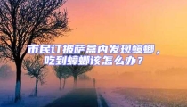 市民订披萨盒内发现蟑螂，吃到蟑螂该怎么办？