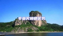 专业灭蟑螂优势
