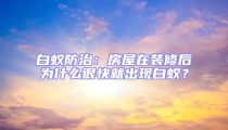 白蚁防治：房屋在装修后为什么很快就出现白蚁？