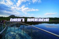 白蚁纷飞 如何防治白蚁