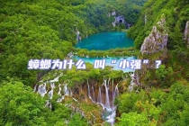 蟑螂为什么 叫“小强”？