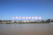 公共区域成防蚁盲点
