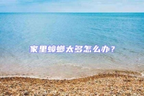家里蟑螂太多怎么办？