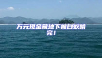 万元现金藏地下被白蚁啃完!