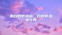 市白蚁防治站:白蚁防治进行时