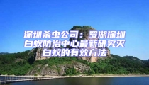深圳杀虫公司:罗湖深圳白蚁防治中心最新研究灭白蚁的有效方法