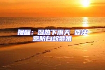 提醒：湿热下雨天 要注意防白蚁繁殖