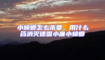 小蟑螂怎么杀要，用什么药消灭德国小廉小蟑螂