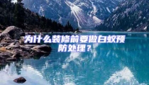 为什么装修前要做白蚁预防处理？