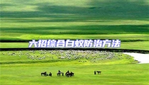 六招综合白蚁防治方法