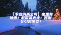 【专业消杀公司】家里有蟑螂?赶紧杀光光!否则会引起肺炎!