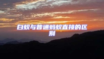白蚁与普通蚂蚁直接的区别