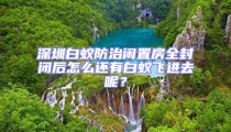 深圳白蚁防治闲置房全封闭后怎么还有白蚁飞进去呢？