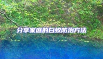 分享家庭的白蚁防治方法