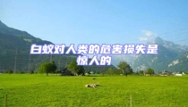 白蚁对人类的危害损失是惊人的