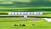 哪家做家庭灭鼠效果比较好