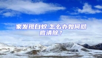 家发现白蚁,怎么办如何彻底清除?