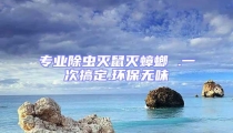 专业除虫灭鼠灭蟑螂 .一次搞定.环保无味