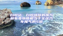 白蚁站:白蚁排除的废气和有毒物质相当于全球汽车尾气的5倍