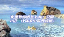 家里有蟑螂怎么办？只需2招，让你家中再无蟑螂！