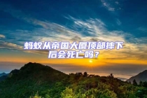 蚂蚁从帝国大厦顶部摔下后会死亡吗？